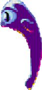 Oko Oko