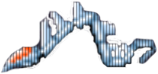 Wąż
