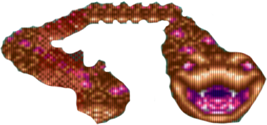 Wąż (czwarty boss) Wąż (czwarty boss)