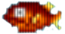 Ryba Ryba