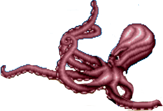 Ośmiornica Ośmiornica