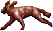 Fenek Fenek