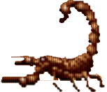 Skorpion Skorpion