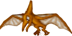 Pterodaktyl pomarańczowy Pterodaktyl pomarańczowy
