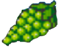 Duże winogrona Duże winogrona