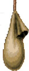 Worek