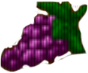 Kiść winogron