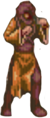Turban żółty Turban żółty