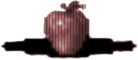 Jabłko granat Jabłko granat