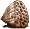 Ul Ul
