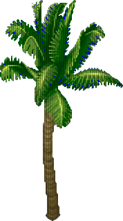 Palma Palma