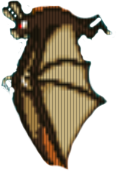 Nietoperz Nietoperz