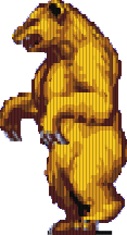 Miś żółty Miś żółty