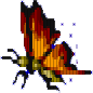 Motyl brązowy Motyl brązowy