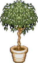 Kwiatek Kwiatek