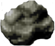 Asteroida Asteroida