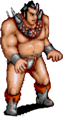 Sumo