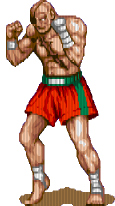 Sagat (Street Fighter II) Sagat (Street Fighter II)