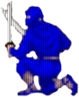 Ninja niebiseka Ninja niebieska
