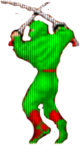 Ninja zielona Ninja zielona