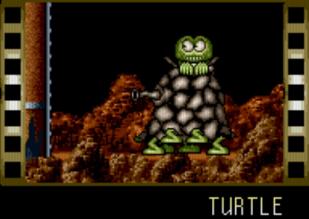 Turtle Turtle