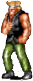 Zielony ninja Zielony ninja
