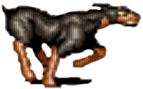 doberman Doberman