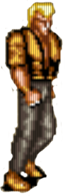 Żółty Żółty