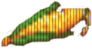 Kukurydza Kukurydza
