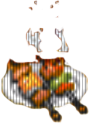 Barbeque Barbeque